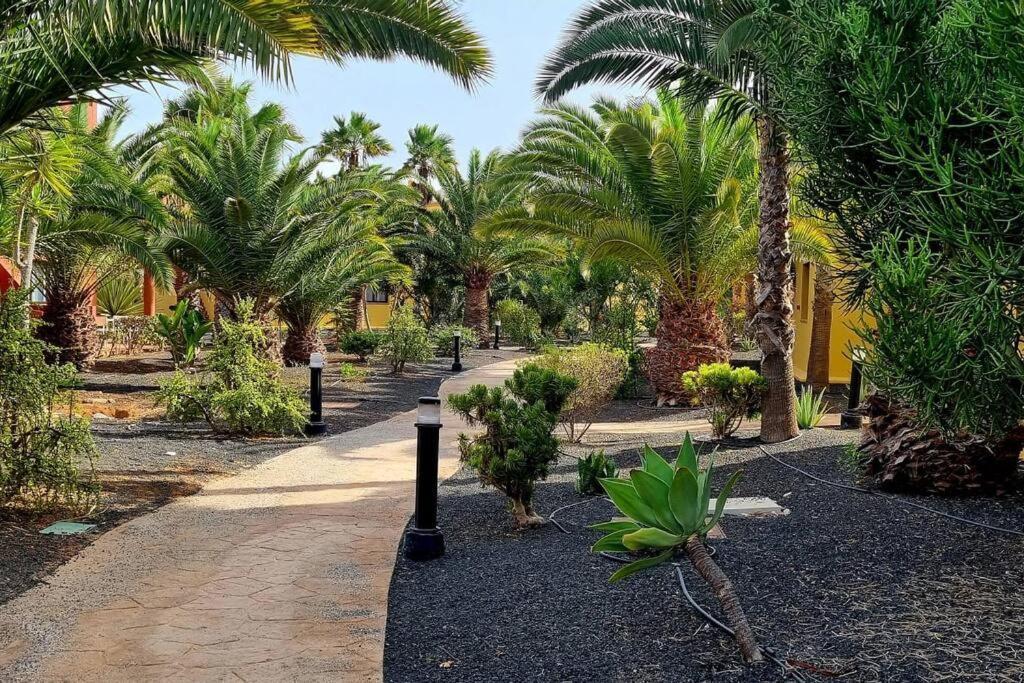 Appartamento Frangipani Con Terrazza E Piscina Corralejo Eksteriør bilde