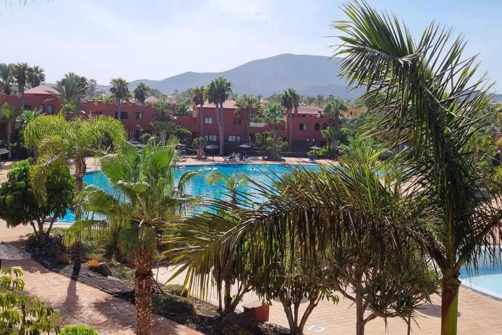 Appartamento Frangipani Con Terrazza E Piscina Corralejo Eksteriør bilde