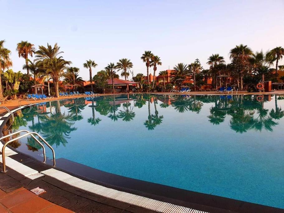 Appartamento Frangipani Con Terrazza E Piscina Corralejo Eksteriør bilde